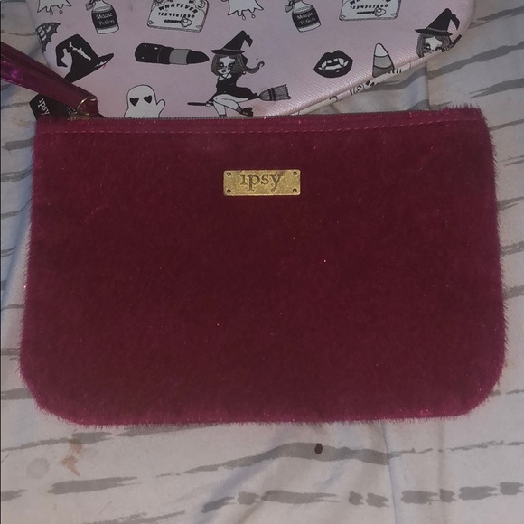 Ipsy Bags - Picture 3 of 3